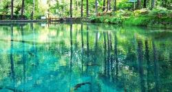 Kampung Unik di Blitar Punya Telaga Jernih dengan Air Kebiruan Dalamnya Ada Ikan Langka 