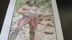 Ini Tampang Anggota KKB Alenus Tabuni alias Kobuter yang Ditangkap Ops Damai Cartenz di Ilaga