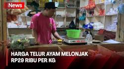Harga Telur Ayam di Jakarta Melonjak, Tembus Rp29 Ribu per Kg 