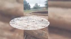 Tragis, Buruh di Banjarbaru Tewas Tertimpa Kayu Gelondongan