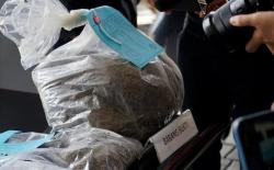 BNNP Jateng Bongkar Peredaran Ganja Jaringan Kampus di Semarang, 2 Mahasiswa Ditangkap