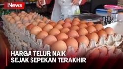 Harga Telur di Madiun, Jawa Timur Naik Sejak Sepekan Terakhir