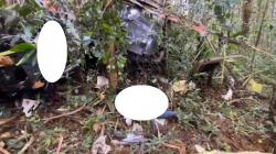 Helikopter Perusahaan Nikel Hilang Kontak Ditemukan, Jatuh di Hutan Halmahera Tengah<