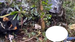 Helikopter Hilang Kontak di Halmahera Ditemukan, Kondisi Hancur dan 3 Awaknya Tewas<