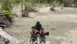 Kronologi Kontak Tembak Satgas Marinir dengan KKB di Yahukimo hingga Tewaskan 1 Orang