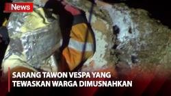 Sarang Tawon Vespa yang Tewaskan Warga di Bogor Dimusnahkan Pemadam Kebakaran
