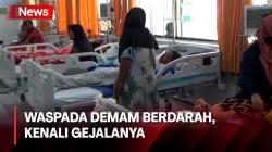 Waspada, 4 Orang Meninggal Akibat DBD di Jombang, Pasien Mayoritas Anak-Anak