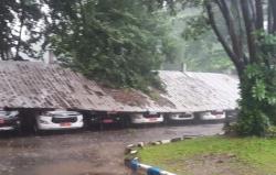 Belasan Pohon Tumbang Diterjang Angin Kencang di Sidoarjo, 7 Mobil Dinas-Rumah Rusak<