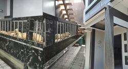 Viral, Rumah Mewah Dijadikan Kandang Ternak, Netizen: Baru Kali Ini Iri sama Kambing!