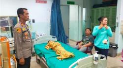 Bocah 5 Tahun Hanyut di Sungai Bah Bolon, Sempat Ditolong Akhirnya Meninggal