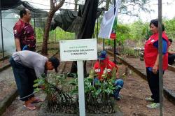 Dorong Pertumbuhan Ekonomi dan Pengurangan Emisi Karbon, Elnusa Petrofin Lanjutkan Program Pemberdayaan Masyarakat