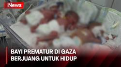 Bayi Prematur Dirawat ditengah Langkanya Pasokan Medis di Raffah, Gaza