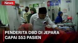 Kasus DBD di Jepara Mengganas, 12 Orang Meninggal Dunia 