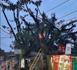 Dayeuhkolot-Baleendah Bandung Terancam Gelap Gulita Diamuk Angin Kencang<