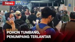 Calon Penumpang KRL Terlantar di Stasiun Tanah Abang karena Pohon Tumbang di Perlintasan