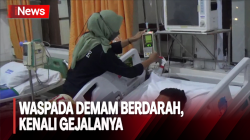 Mayoritas Anak-Anak, 9 Orang Meninggal Akibat Demam Berdarah di Jombang