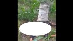 Perempuan di Nganjuk Ditemukan Tewas di Kebun, Diduga Korban Perampokan<