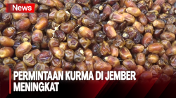Jelang Bulan Ramadhan, Penjualan Kurma di Jember Meningkat Pesat
