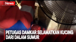 Aksi Heroik Petugas Damkar Selamatkan Kucing Tercebur Sumur Sedalam 5 Meter 