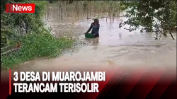 Banjir Terjang Muarojambi, 3 Desa Terancam Terisolir 