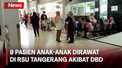 Pasien DBD di RSU Tangerang Capai 30 Orang, 9 Pasien Diantaranya Anak-Anak