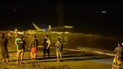 Geger, Paus Sepanjang 15 Meter Terdampar di Pantai Mbang-Mbangan Lombok Timur<
