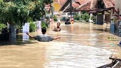 Update Dampak Banjir Cirebon: 36 Desa Terendam Puluhan Ribu Warga Mengungsi