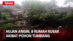 Sembilan Rumah Rusak Tertimpa Pohon akibat Hujan dan Angin Kencang