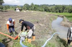 Dorong Percepatan Tanam, Mentan Imbau Pejabat Pertanian Segera Turun ke Sawah