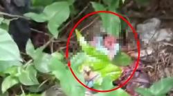 Geger, Bayi Perempuan Masih Hidup Ditemukan di Tumpukan Sampah di Kemang Bogor
