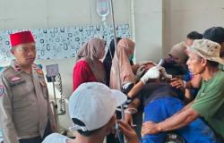 Ngeri! Warga di Lampung Barat Duel dengan Harimau, Kepala Robek Dicakar