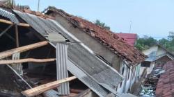 Angin Puting Beliung Terjang Lampung Selatan, 102 Rumah Rusak dan 8 Warga Terluka