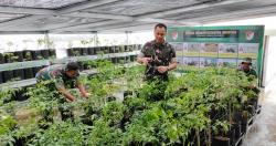 Bantu Ketahanan Pangan Nasional, Kodim 0507 Bekasi Manfaatkan Markas Jadi Urban Farming