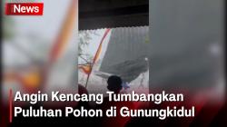Diterjang Angin Kencang, Puluhan Pohon Tumbang di Gunungkidul