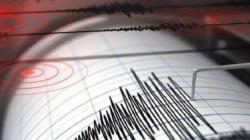 Gempa Bumi M4,9 Guncang Kodi Sumba Barat Daya NTT, Getaran Terasa hingga Bima<