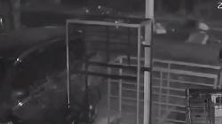 Kecelakaan Maut Terekam CCTV di Toraja Utara, 2 Motor Adu Kambing 3 Orang Tewas