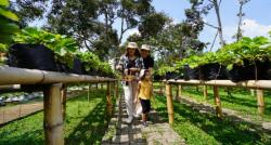 Lido Lake Resort Ramadhan Festive: Staycationnya Spesial, Naik Wahana Diskon 50%