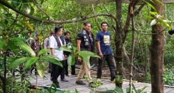 Kunjungi Jambi, Sandiaga Uno Terpikat Keindahan Taman Wisata Mangrove Pangkal Baru