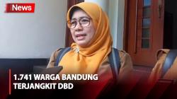 Kasus DBD Meningkat, Dinkes Bandung Imbau Warga Terapkan Program 3 M