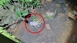 Geger, Warga Dekeng Bogor Temukan Jasad Bayi Mengambang di Kali Cijebul