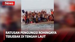 Kapalnya Terbalik, Ratusan Pengungsi Rohingya Terombang-ambing di Tengah Lautan