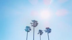 Apa Itu Ekuinoks? Fenomena yang Tingkatkan Intensitas Penyinaran Matahari 