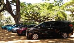 Toyota Bakal Bikin Seluruh Model Mobil di Indonesia Punya Varian Hybrid