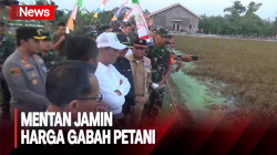 Sawah di Kendal Terendam Banjir, Mentan Jamin Harga Gabah Petani 