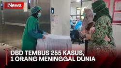 Pasien DBD di Depok Tembus 255 Kasus, 1 Orang Meninggal Dunia
