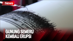 Gunung Semeru Erupsi Pagi Ini, Semburkan Abu Vulkanik Setinggi 1.000 Meter 