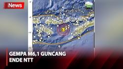 Gempa M6,1 Terjadi di Tenggara Ende NTT, BMKG: Tidak Berpotensi Tsunami