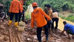 Longsor di Babakan Madang Bogor, 1 Lansia Dilaporkan Hilang