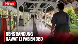 RSHS Bandung Rawat 11 Pasien DBD dengan Keluhan Berat 