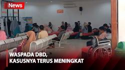 Kasus DBD Melonjak, 10 Orang Meninggal karena Demam Berdarah di Kota Kendari